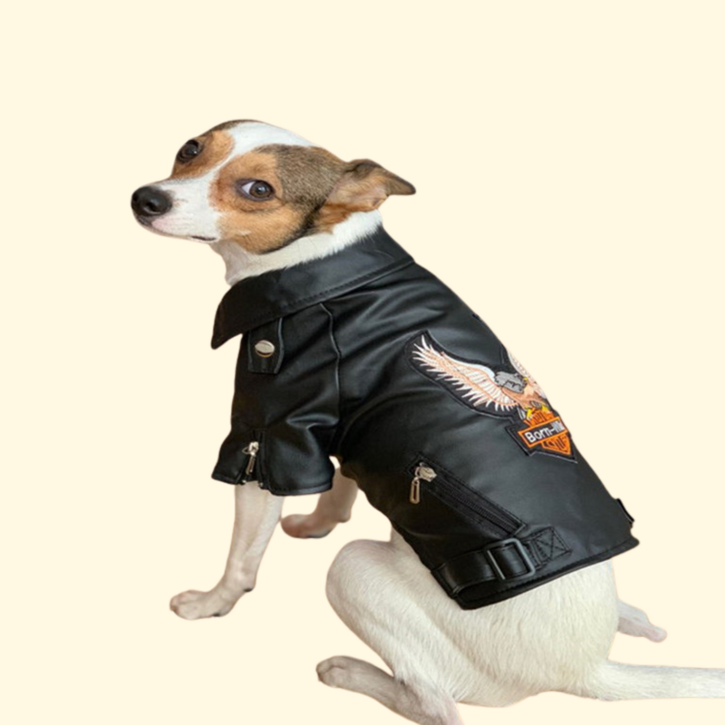 Dog coat