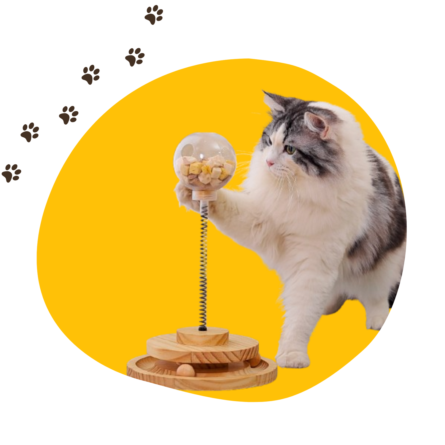 Pet Toys