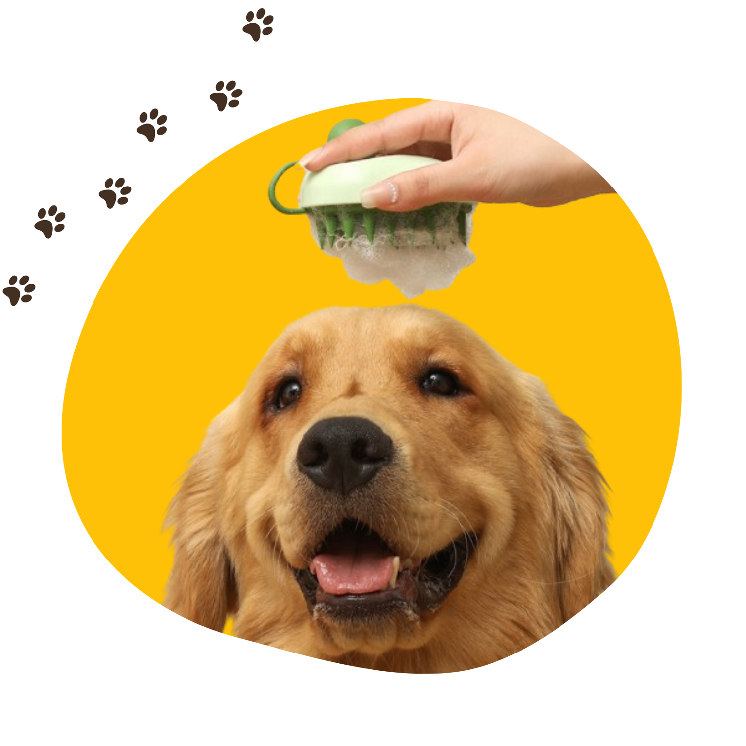 Pet Supplies