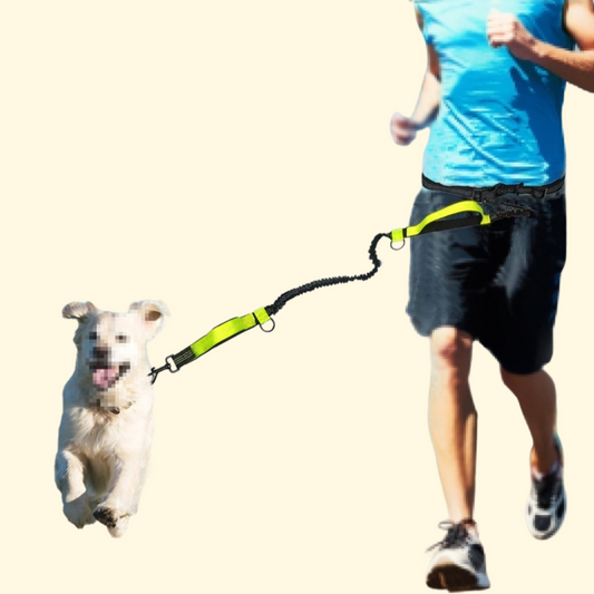 Pet Traction Rope Multifunctional