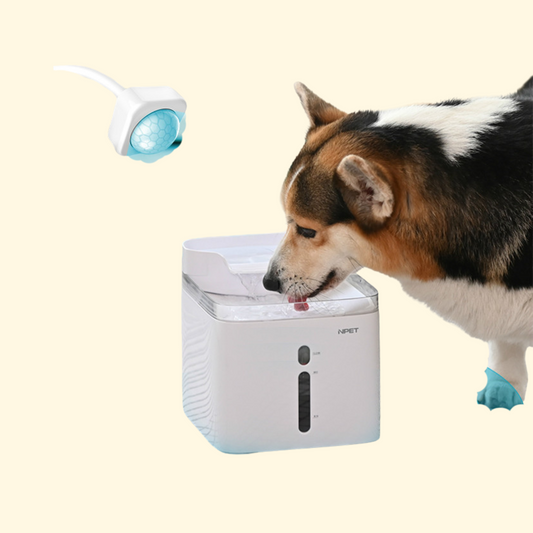 Mobile Water Pet Products Drinking Water Filtration