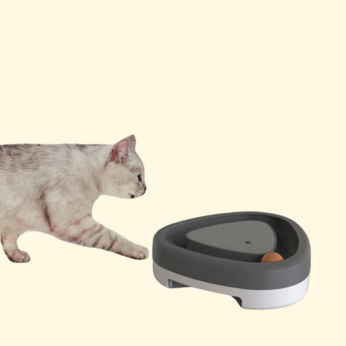 Pet Cat Self-hey Toy