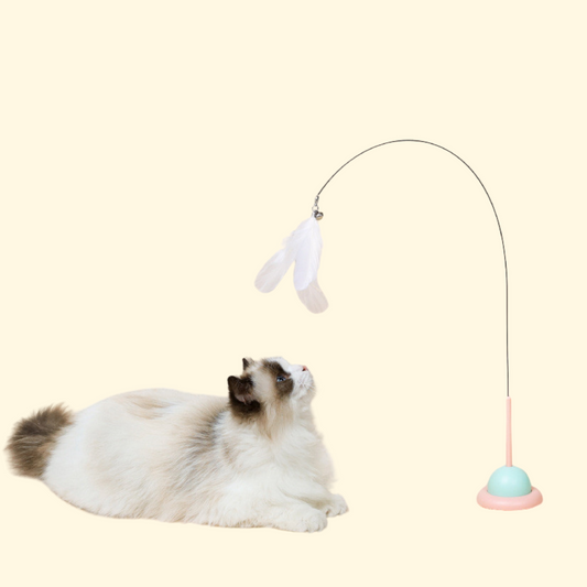 Household Fixed Pet Products Interactive Toys