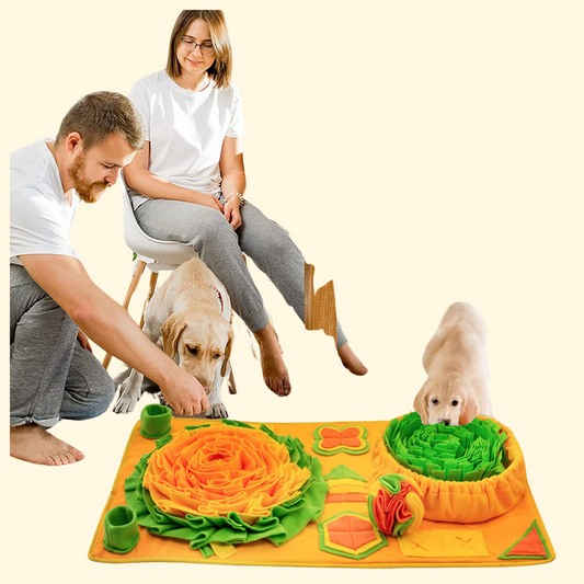 Pet Products Sniffing Pad Puzzle Interaction